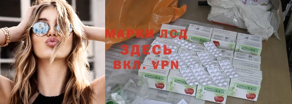 индика Костерёво