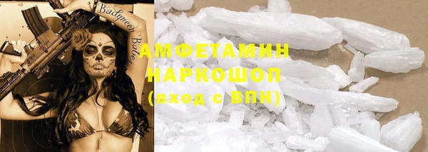 индика Костерёво