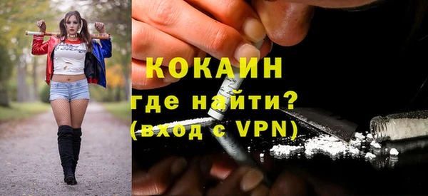 индика Костерёво