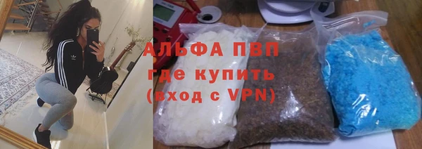 индика Костерёво