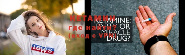 индика Костерёво