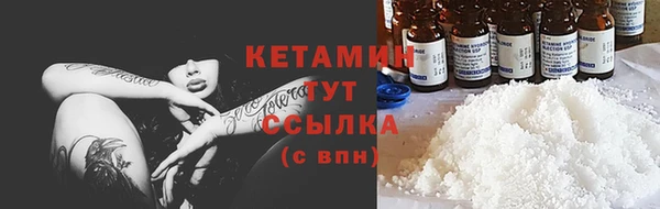 индика Костерёво