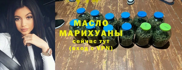 индика Костерёво