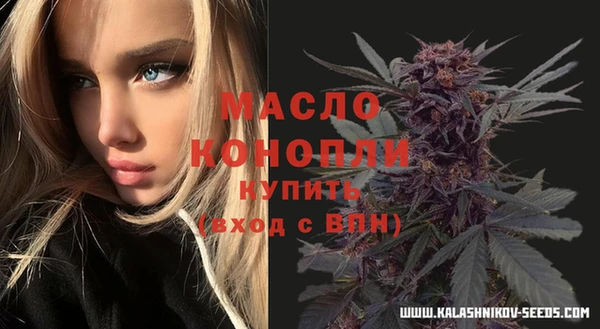индика Костерёво