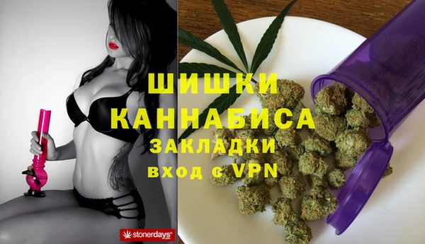 индика Костерёво