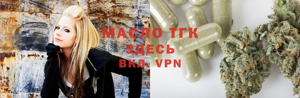 индика Костерёво