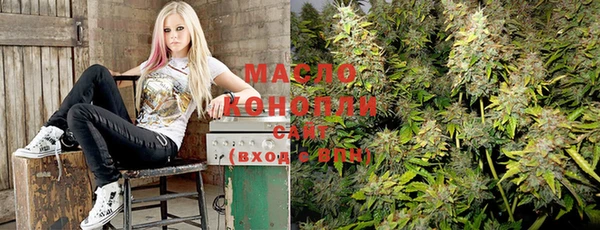 индика Костерёво