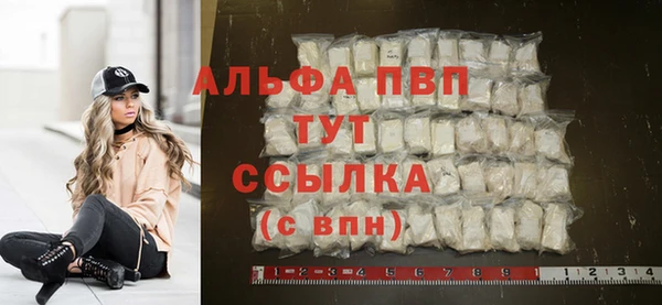спайс Корсаков