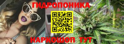 марихуана Аргун