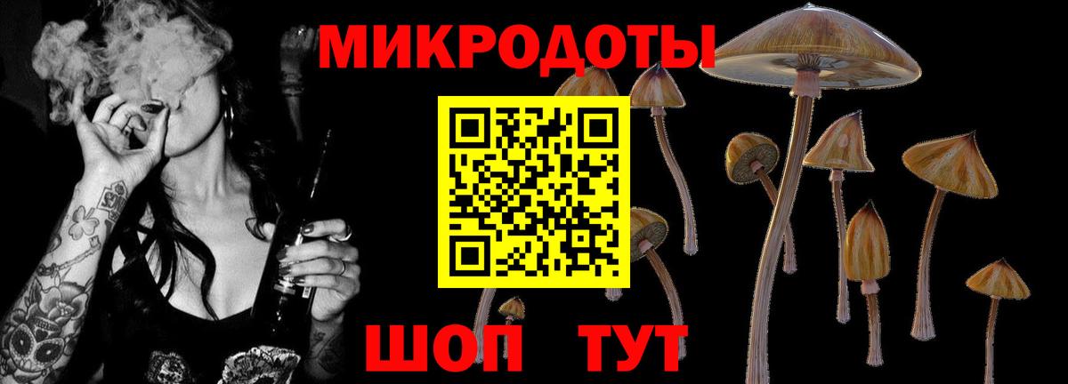 Псилоцибиновые грибы MAGIC MUSHROOMS Ачинск